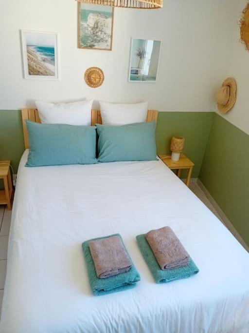 Appartement Centre-Ville Proche Lac, Ocean, Vignes Lesparre-Medoc Luaran gambar
